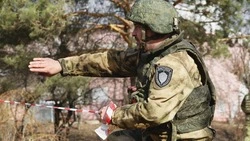 Вячеслав Гладков рассказал об условиях получения земельных участков участниками СВО