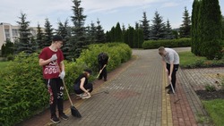 Как алексеевские школьники занимаются благоустройством и озеленением села