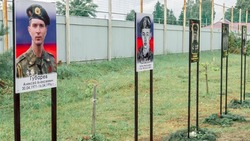 Аллею героев - участников Великой Отечественной, Афганской и Чеченской войн открыли в селе Гостищево