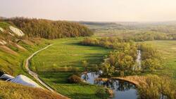 Глава Белгородской области призвал стремиться к увеличению «зелёного каркаса» региона