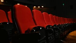 11 белгородских кинотеатров стали участниками программы «Пушкинская карта»