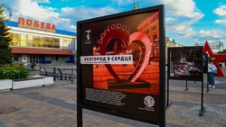 Аудиовизуальную инсталляцию открыли в Белгороде на месте теракта 30 декабря