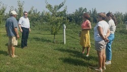 Инвентаризацию садоводческих хозяйств проведут в Яковлевском городском округе