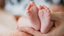Более 8 тысяч белгородских семей получили единовременную выплату при рождении ребёнка в 2023 году