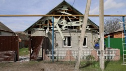 Осколок снаряда убил беременную женщину в Новой Таволжанке